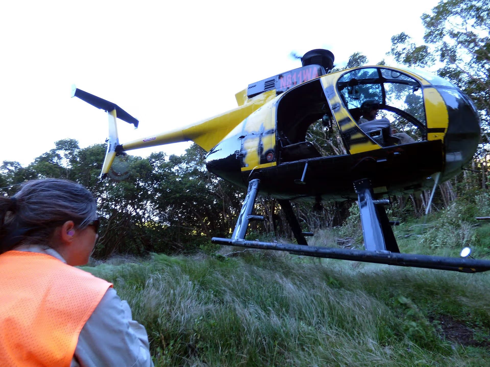 N811WA — Helicopter