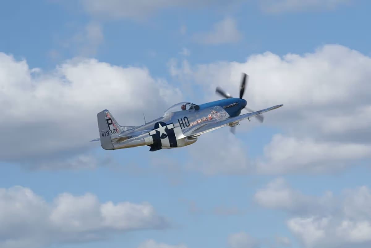 Unidentified — Warbird