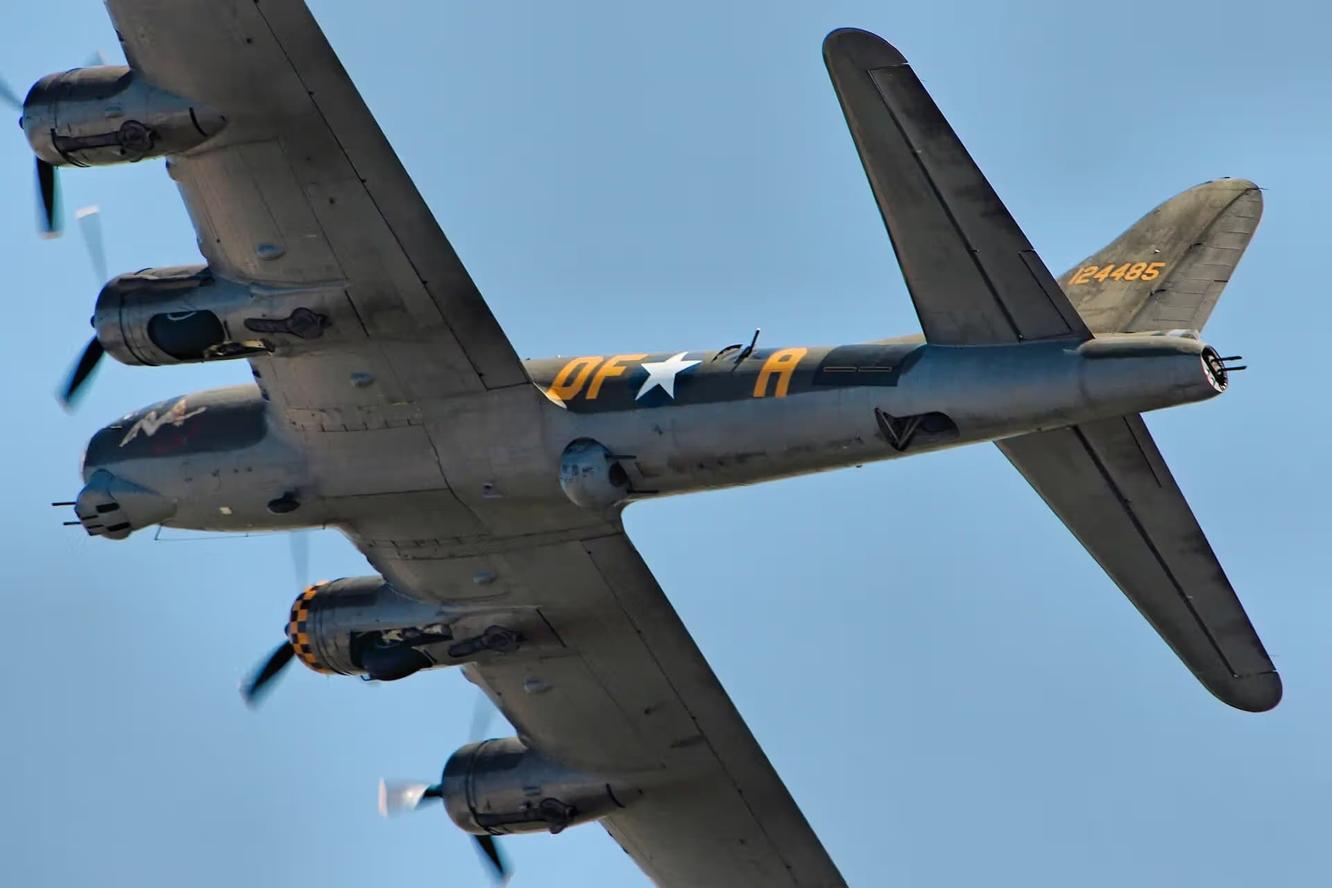 Unidentified — Warbird