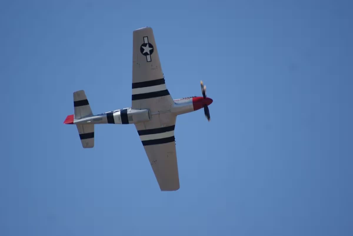 Unidentified — Warbird