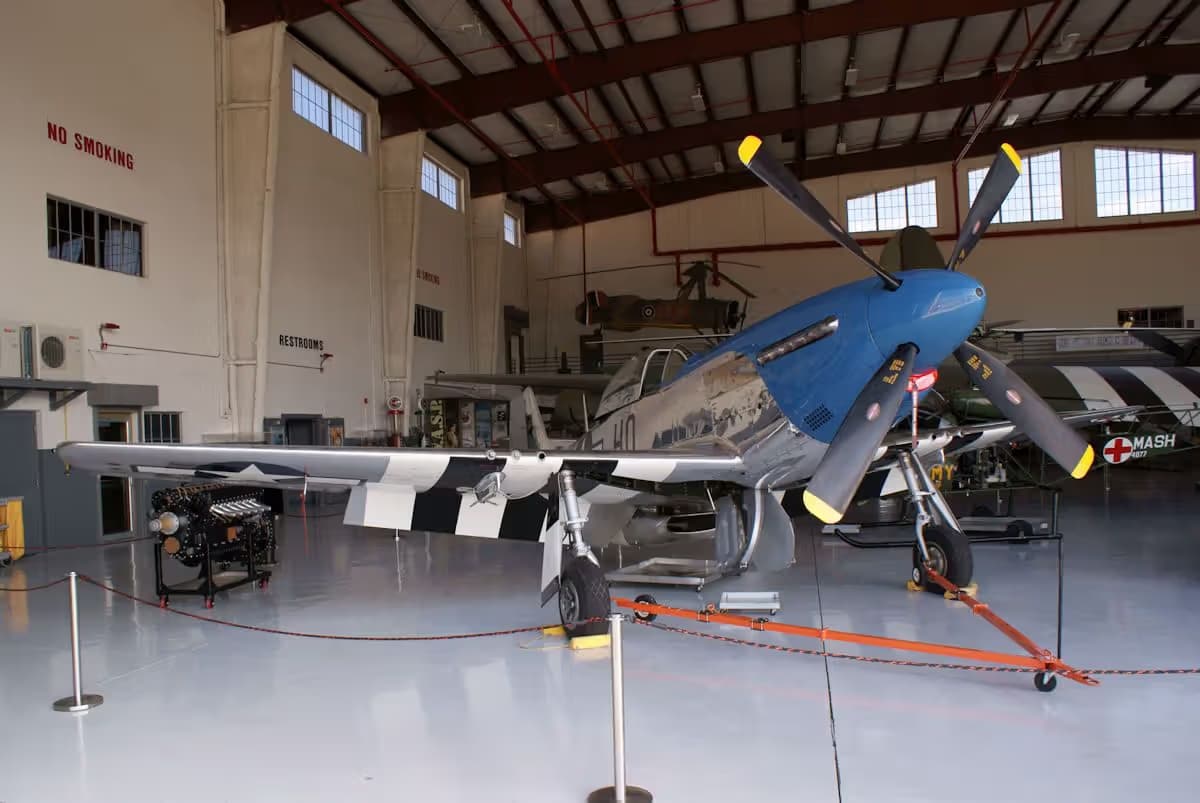 Unidentified — Warbird