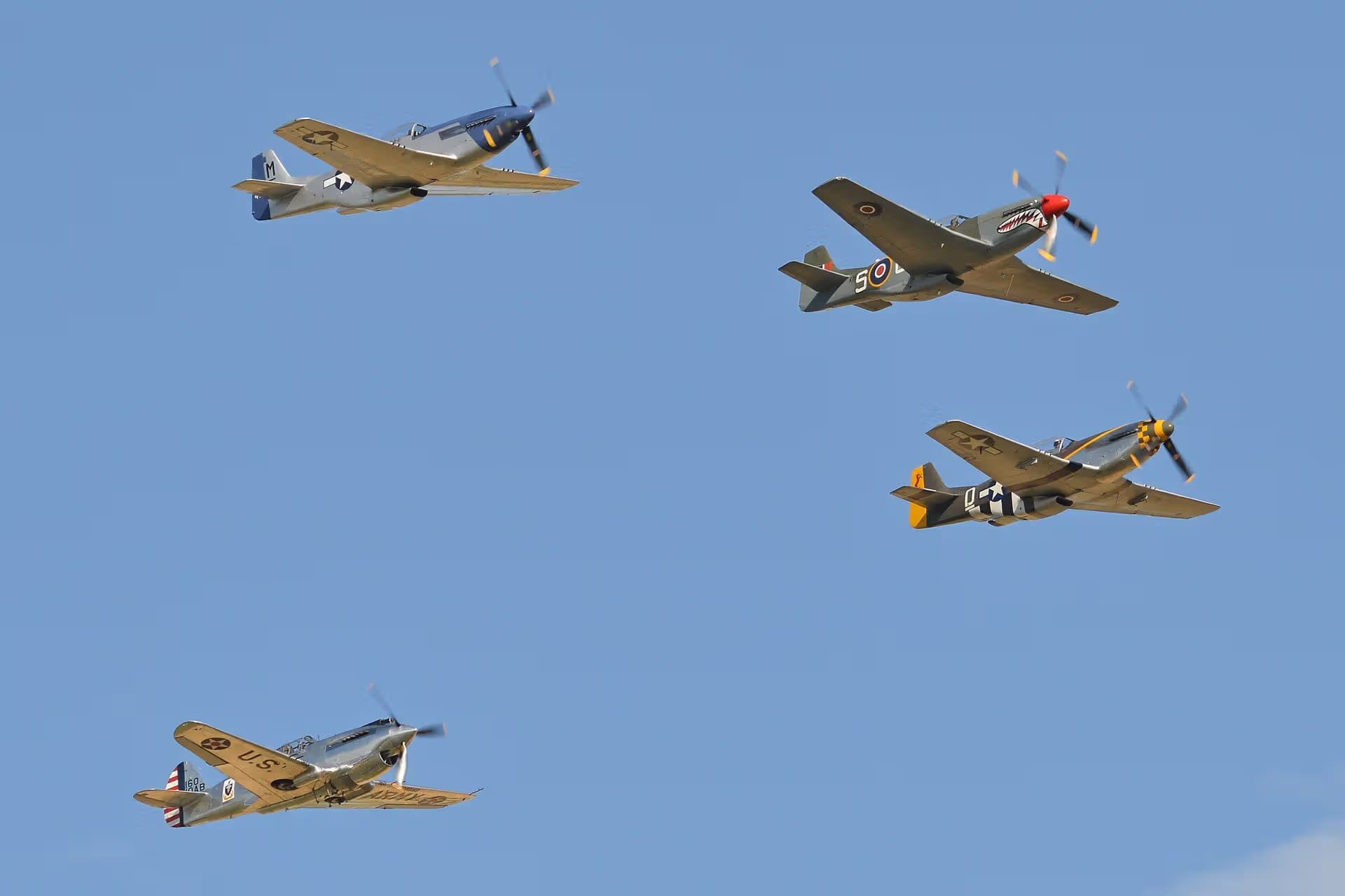 Unidentified — Warbird
