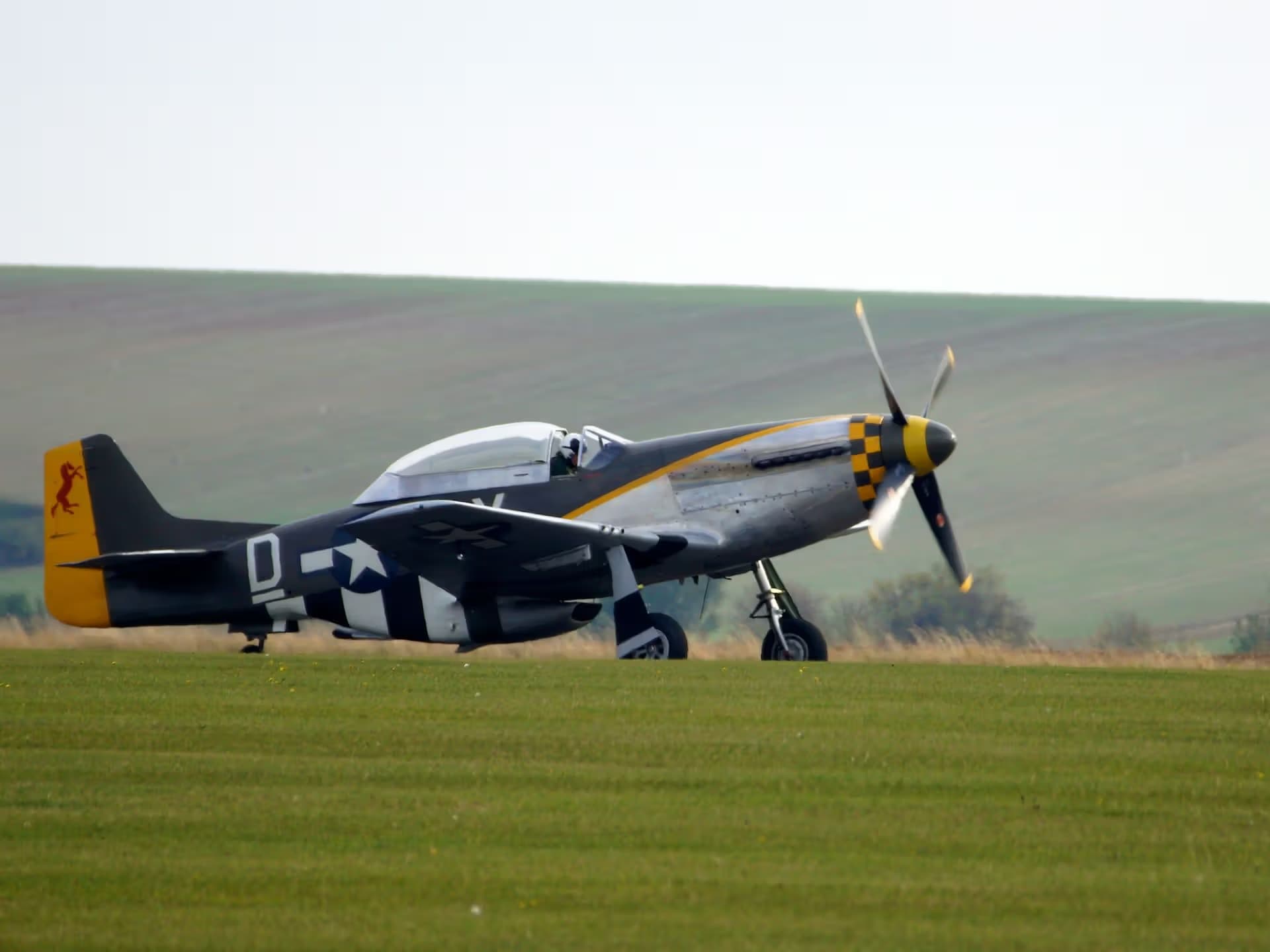 N251RJ — Warbird