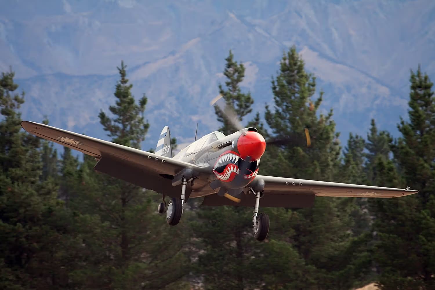 Unidentified — Warbird