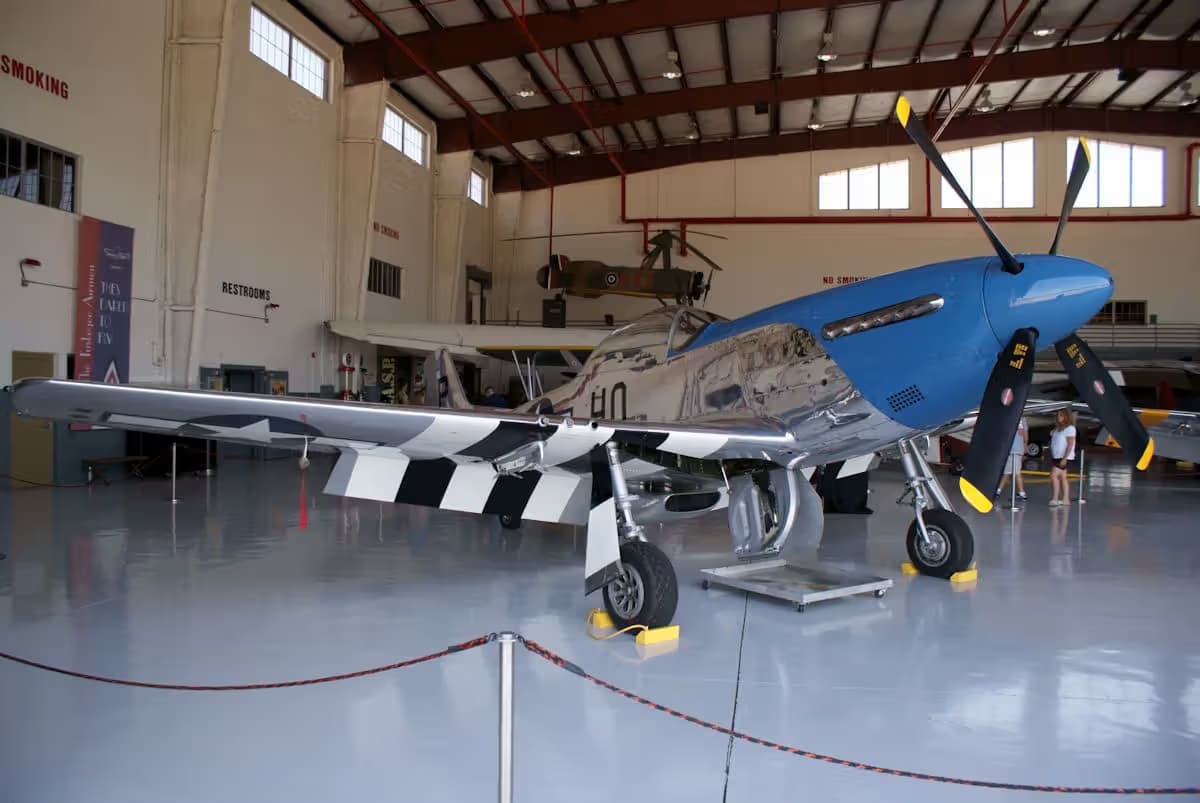 Unidentified — Warbird
