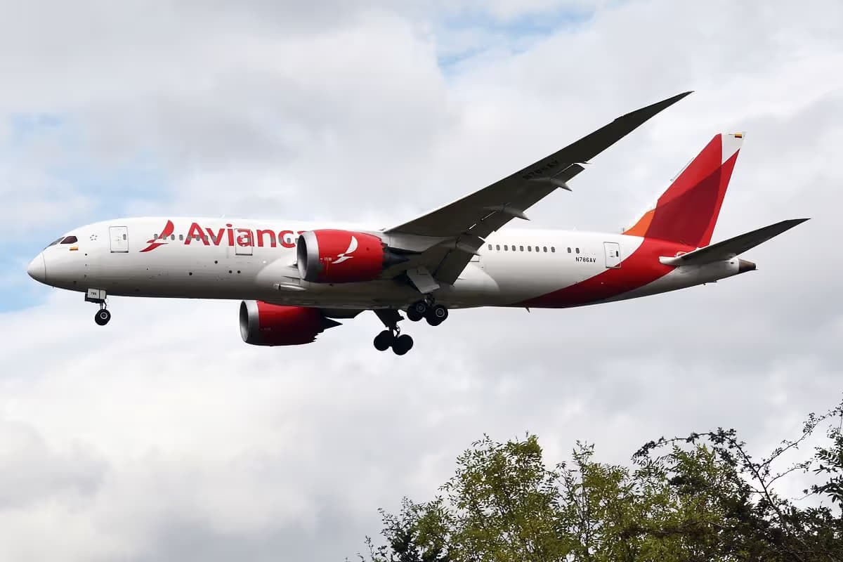 N786AV — Twin-engine aircraft
