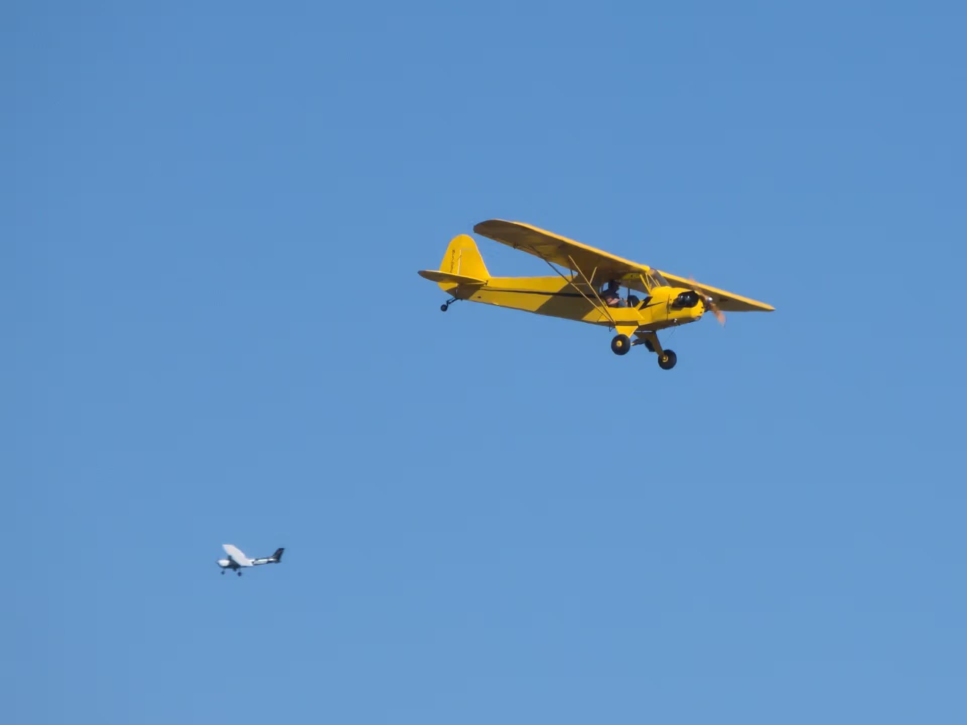 N10557 — Piper
