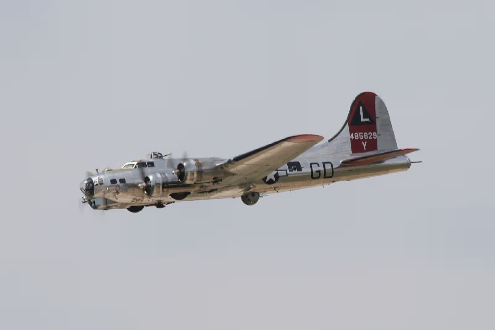 Unidentified — Warbird