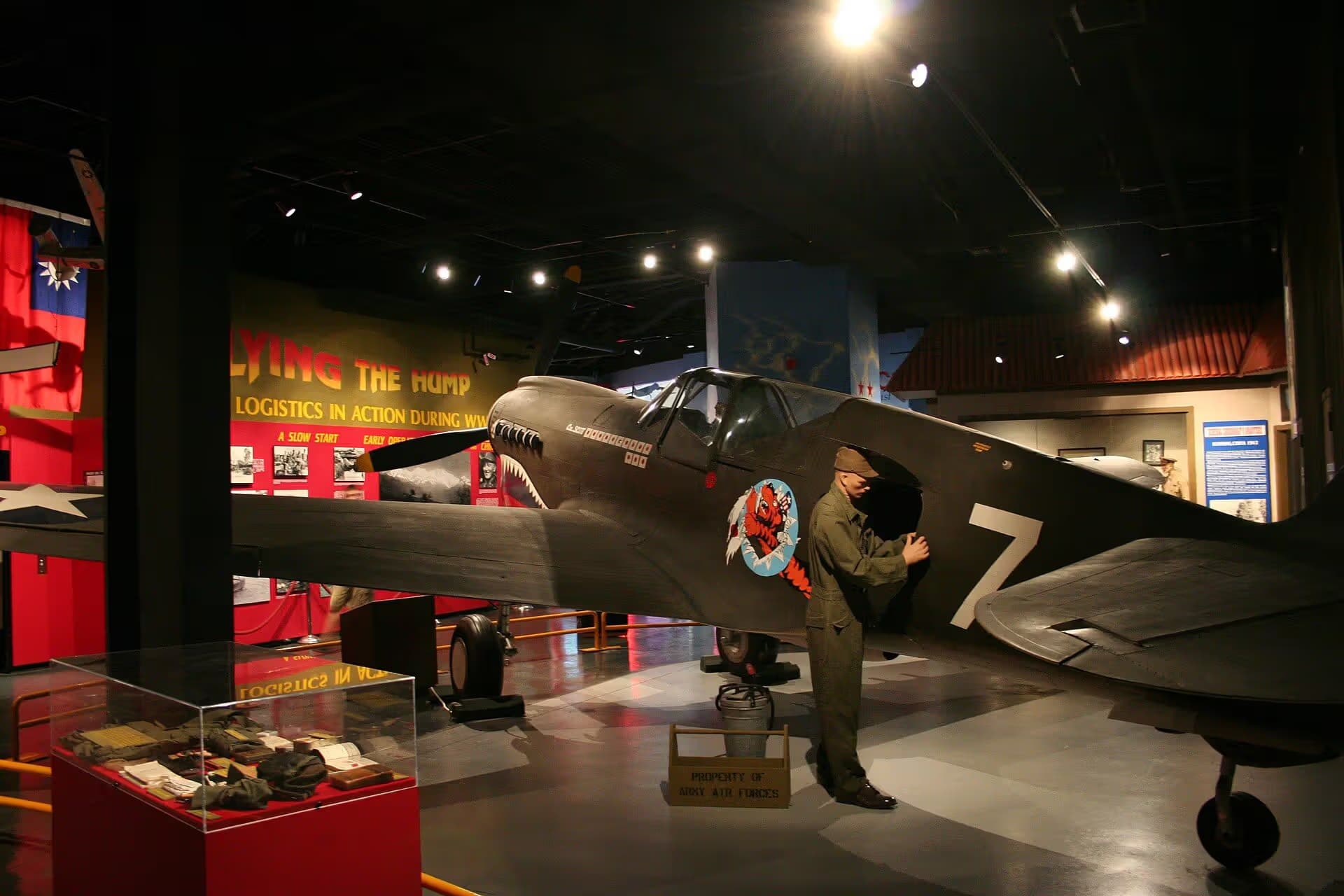 Unidentified — Warbird