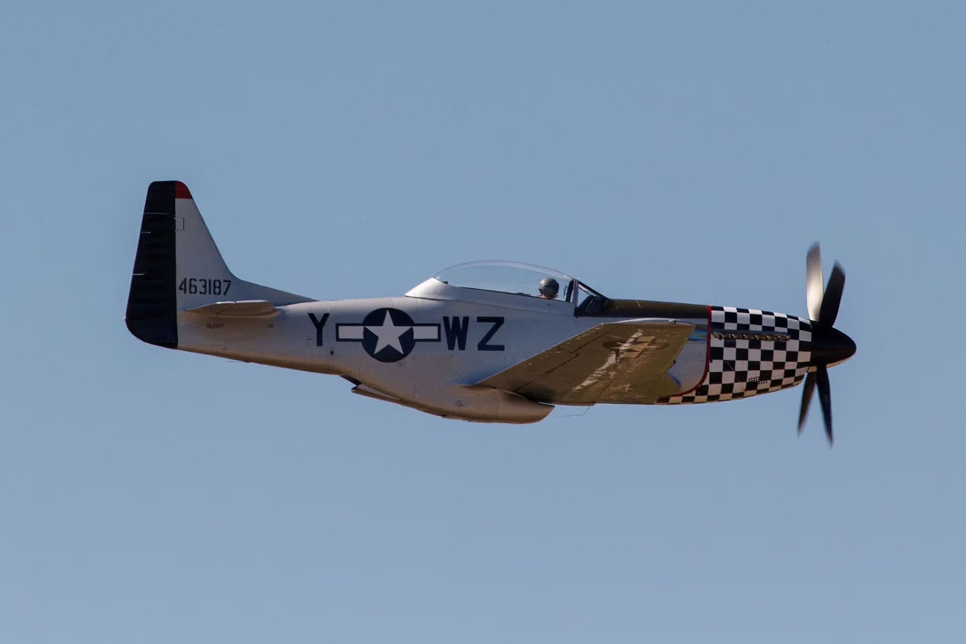 Unidentified — Warbird