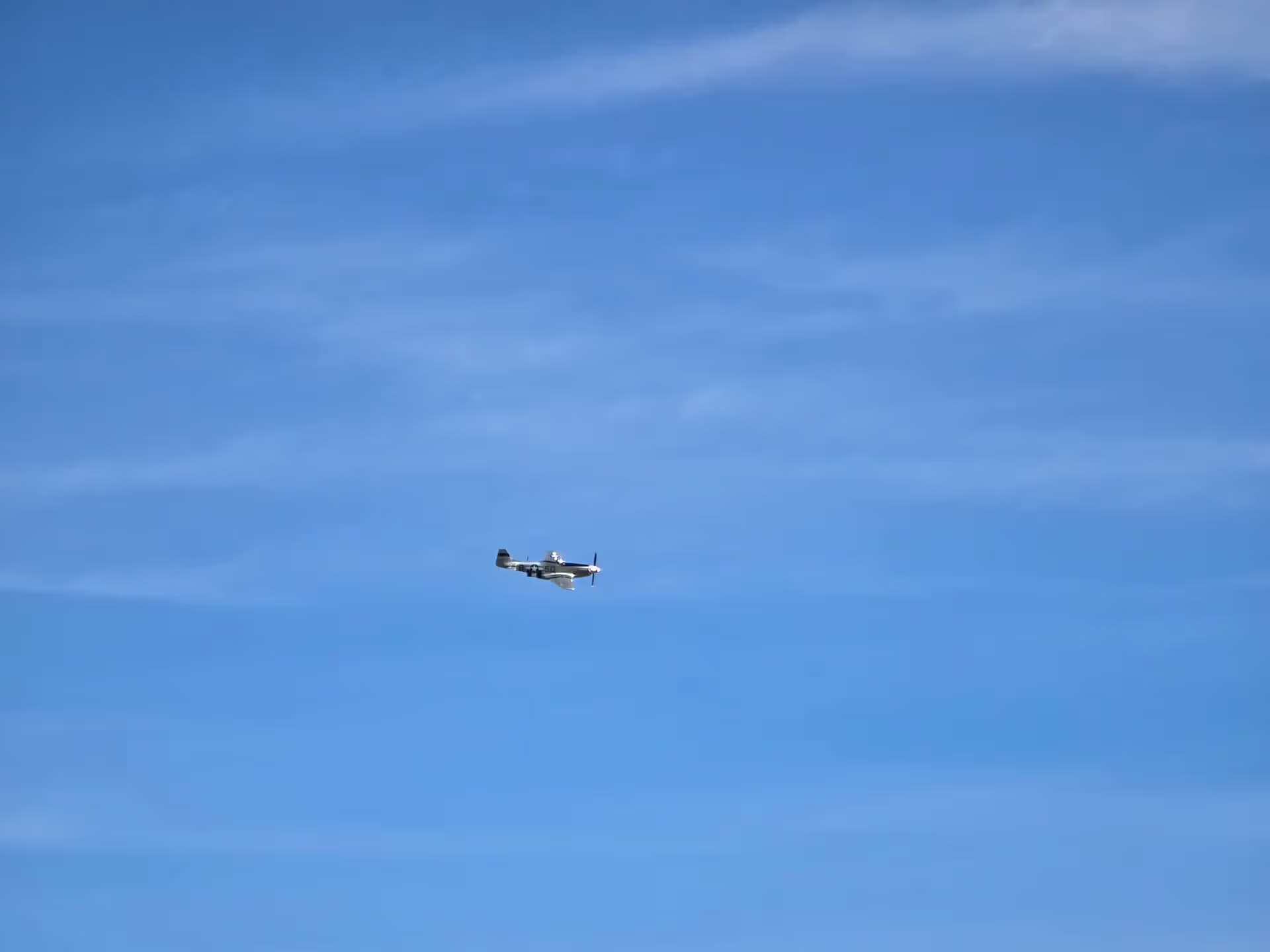Unidentified — Warbird