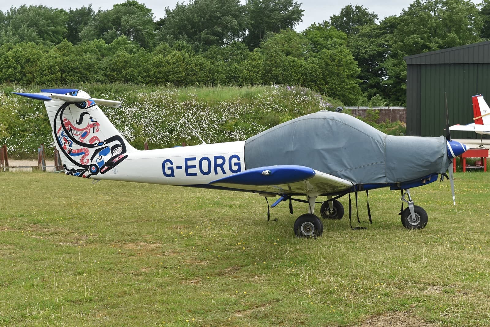 G-EORG — Piper