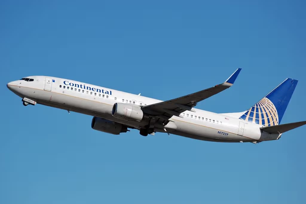 N17229 — Twin-engine aircraft