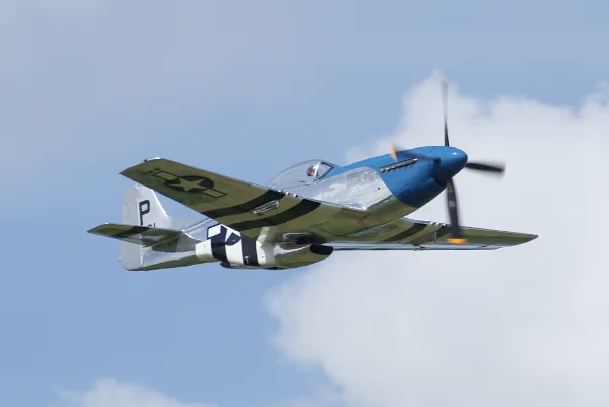 Unidentified — Warbird