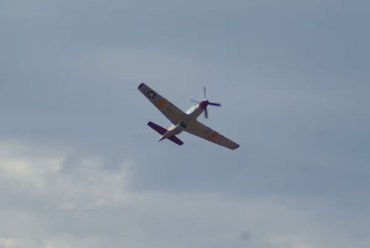 Unidentified — Warbird