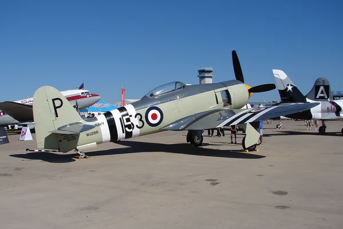 Unidentified — Warbird