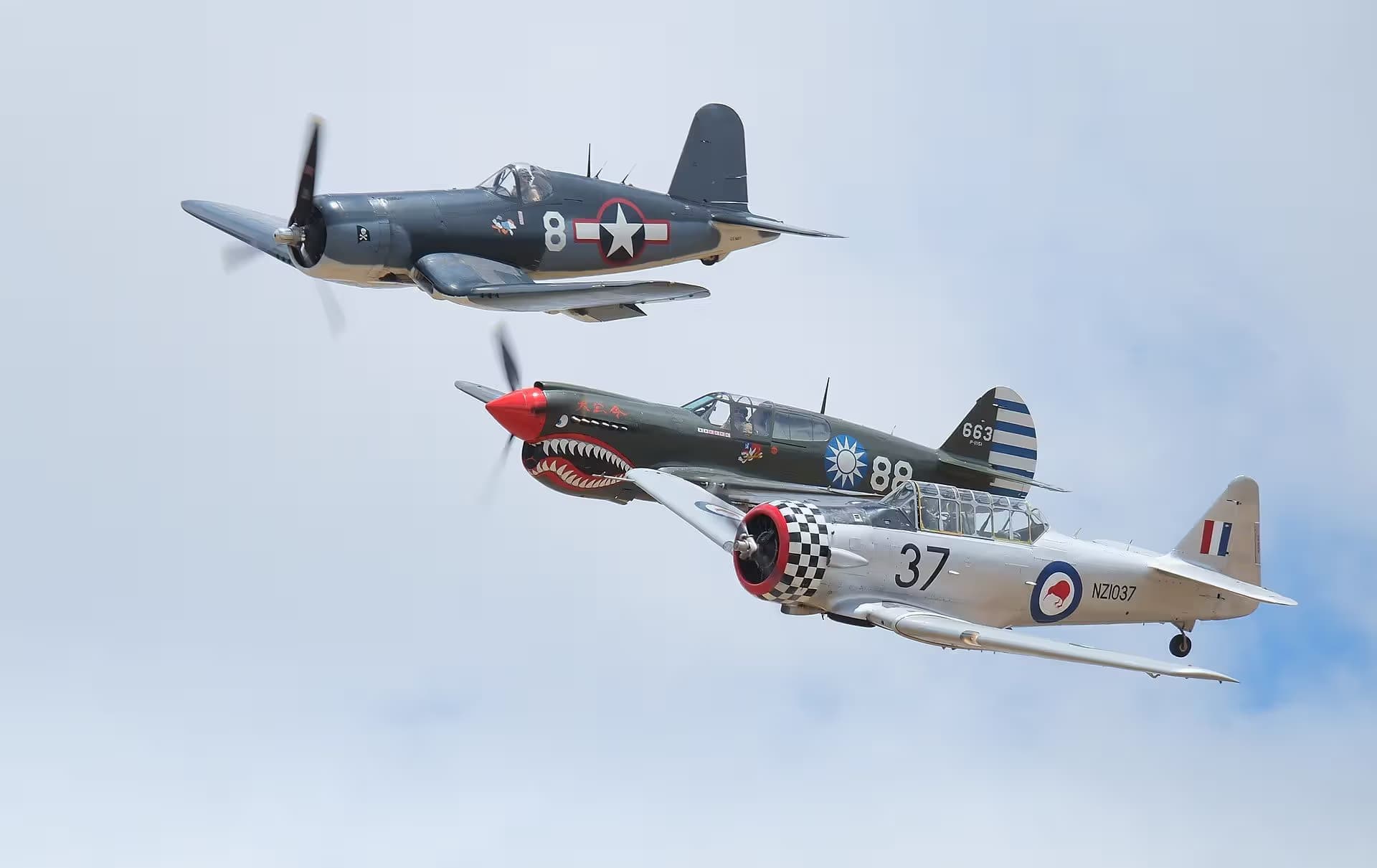Unidentified — Warbird