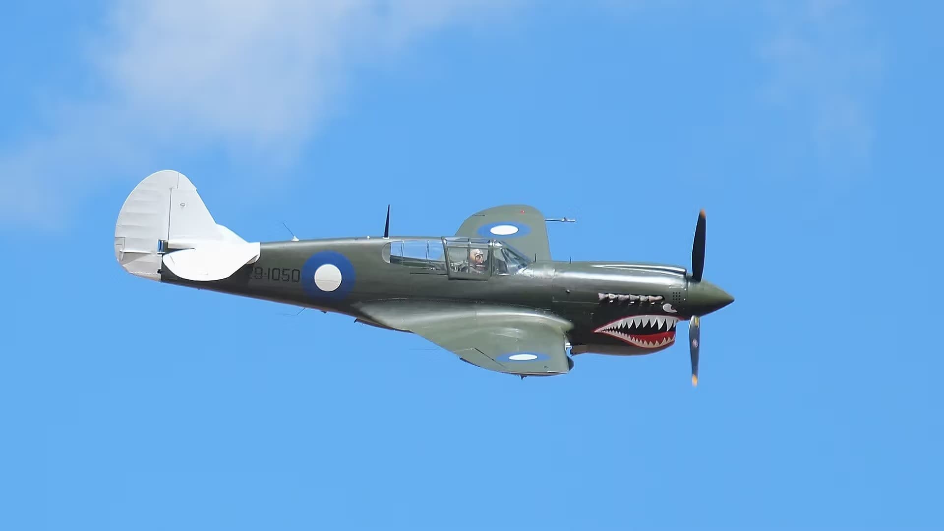 Unidentified — Warbird