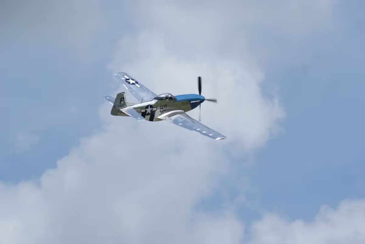 Unidentified — Warbird
