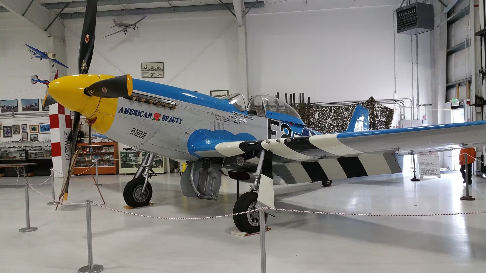 Unidentified — Warbird