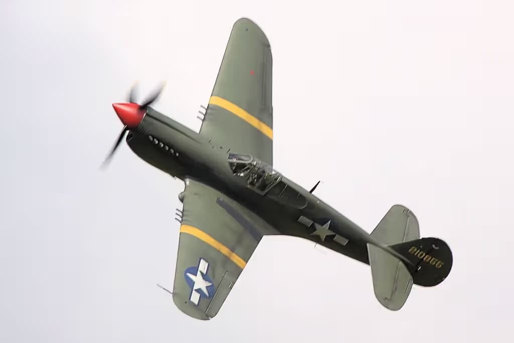 Unidentified — Warbird