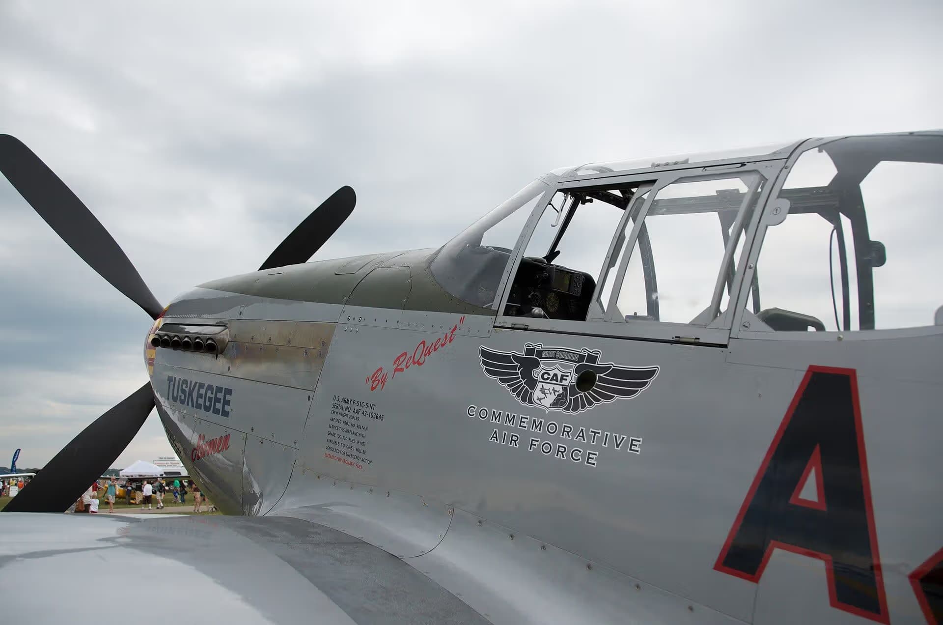 Unidentified — Warbird