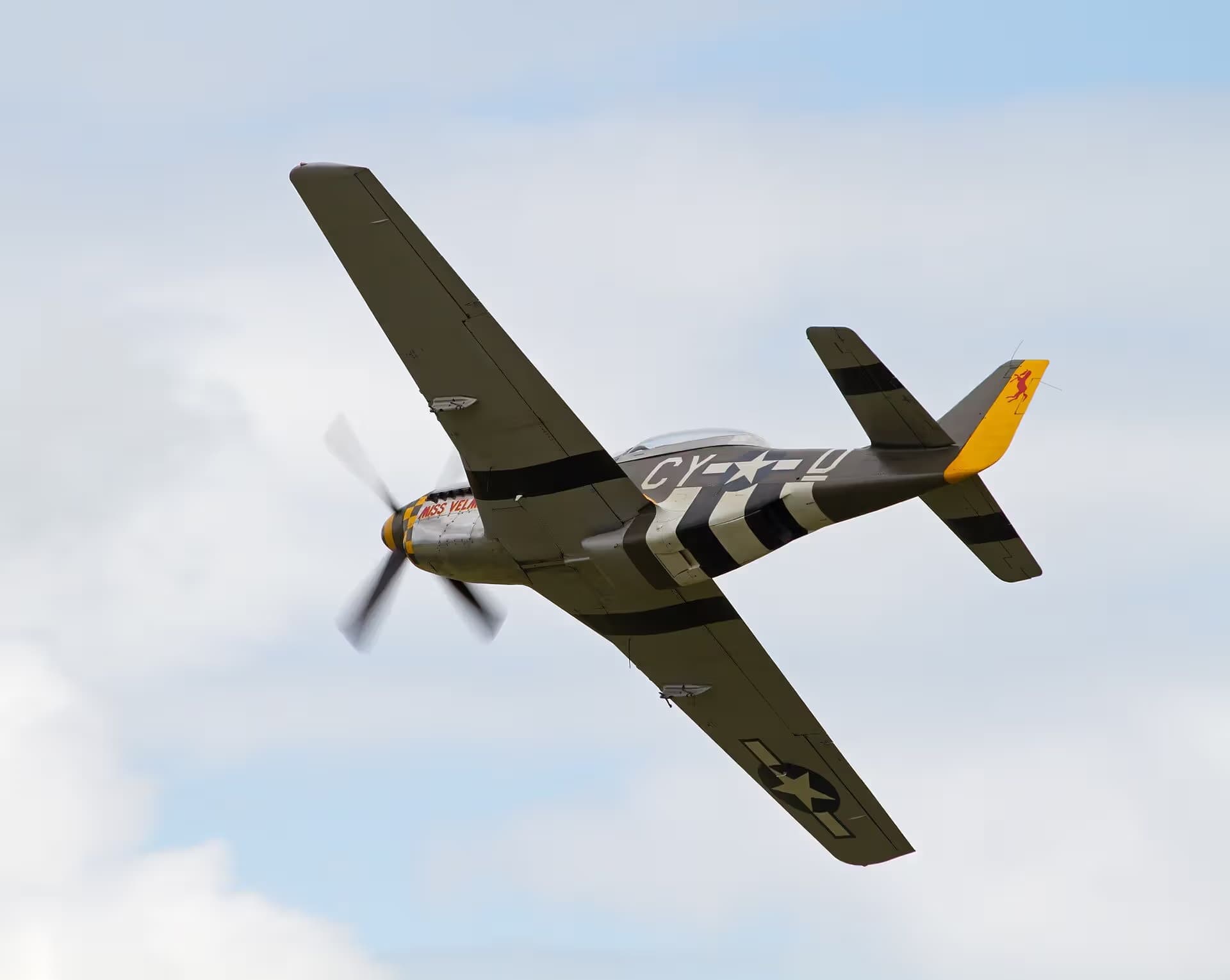 N251RJ — Warbird