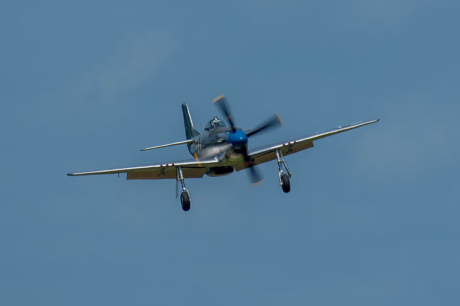 N1751D — Single-engine aircraft