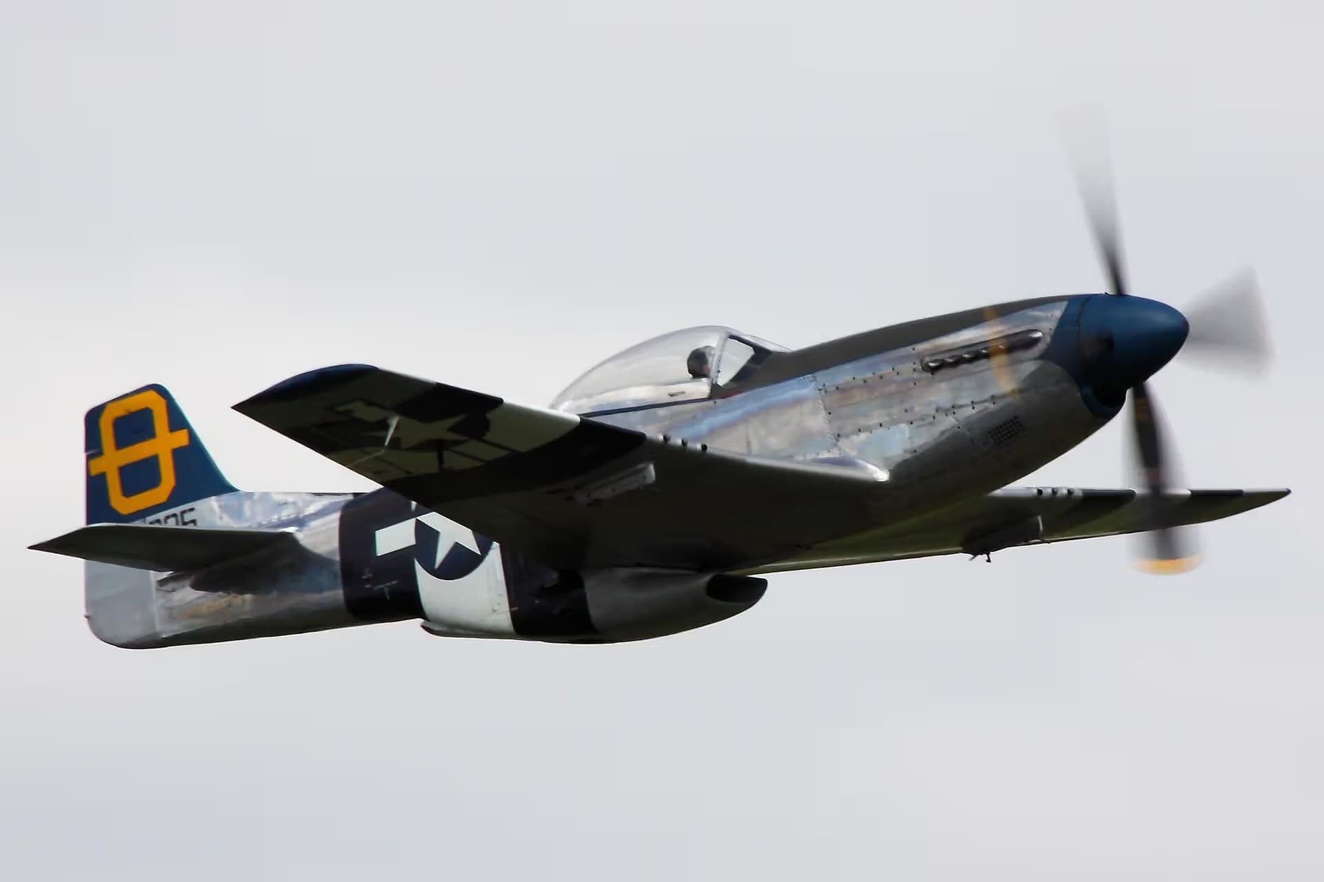 Unidentified — Warbird