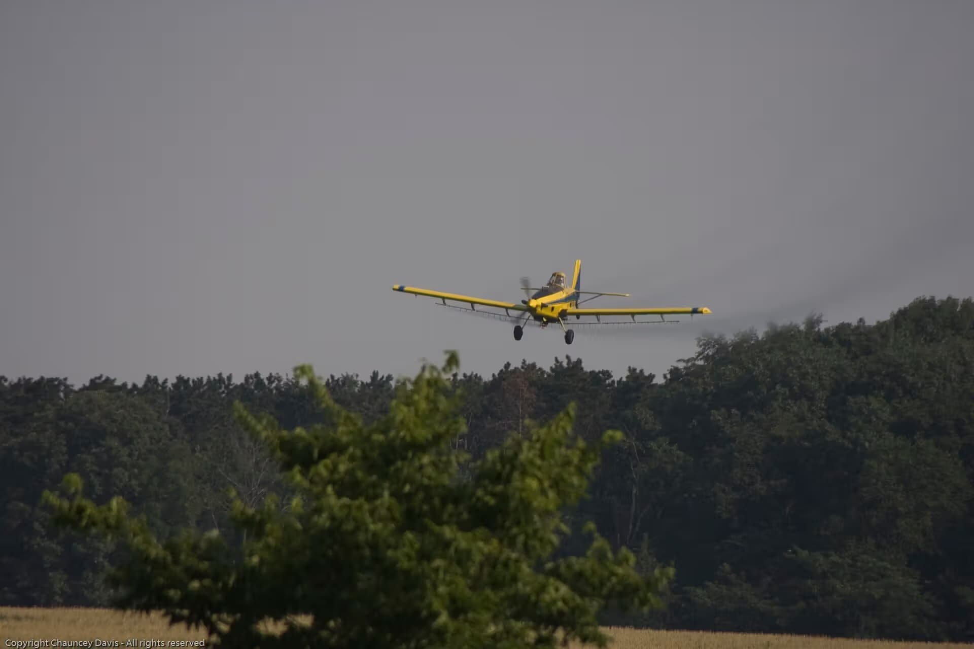 N1531G — Single-engine aircraft