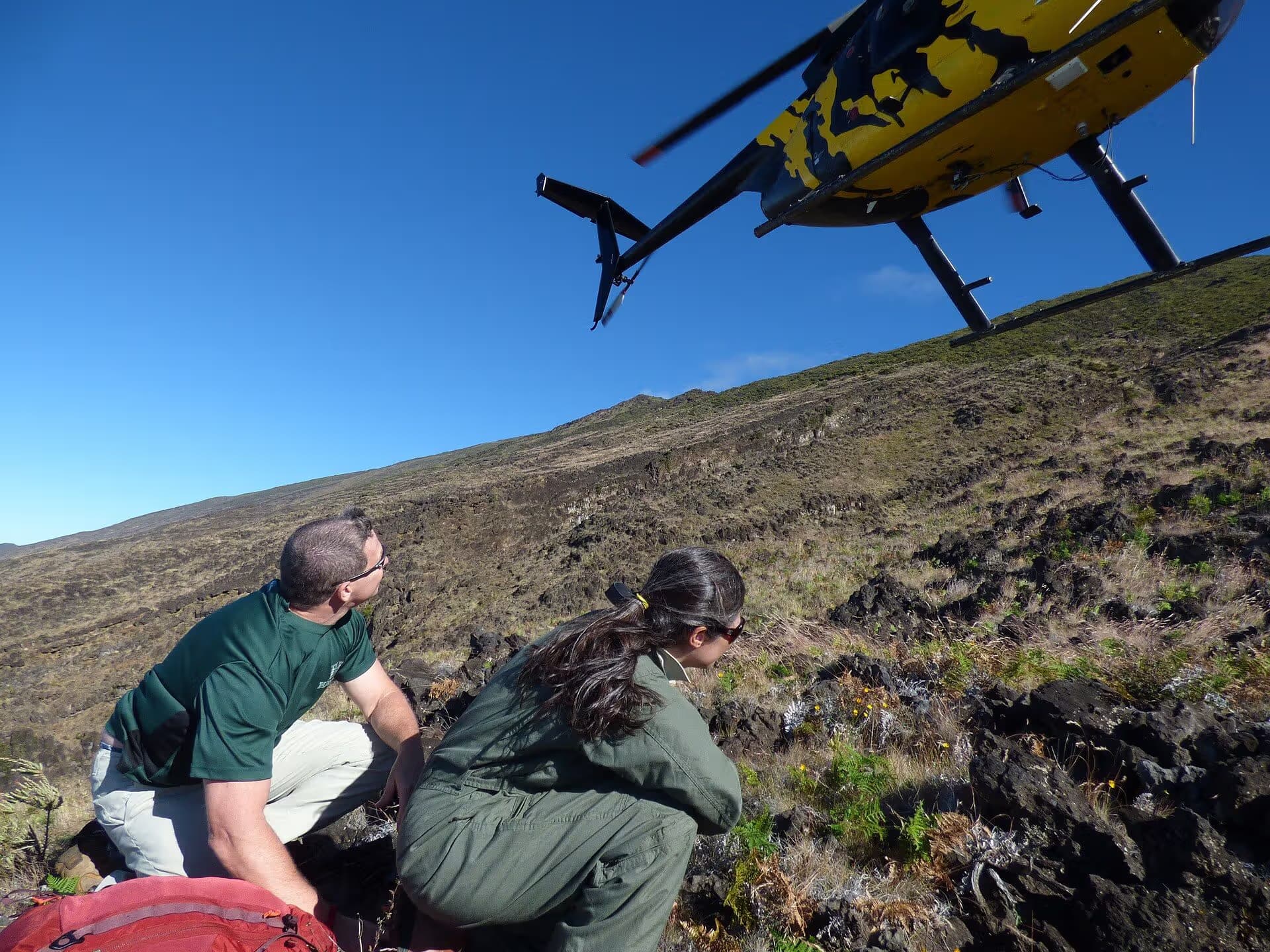 N58251 — Helicopter