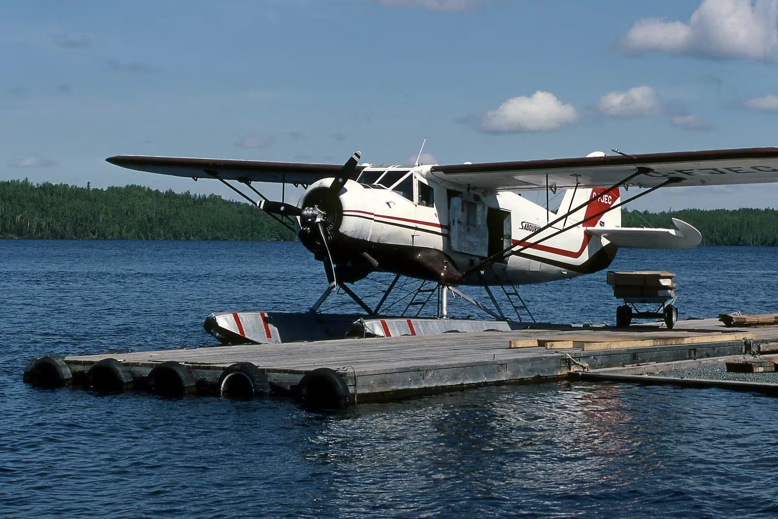 C-FJEC — Single-engine aircraft