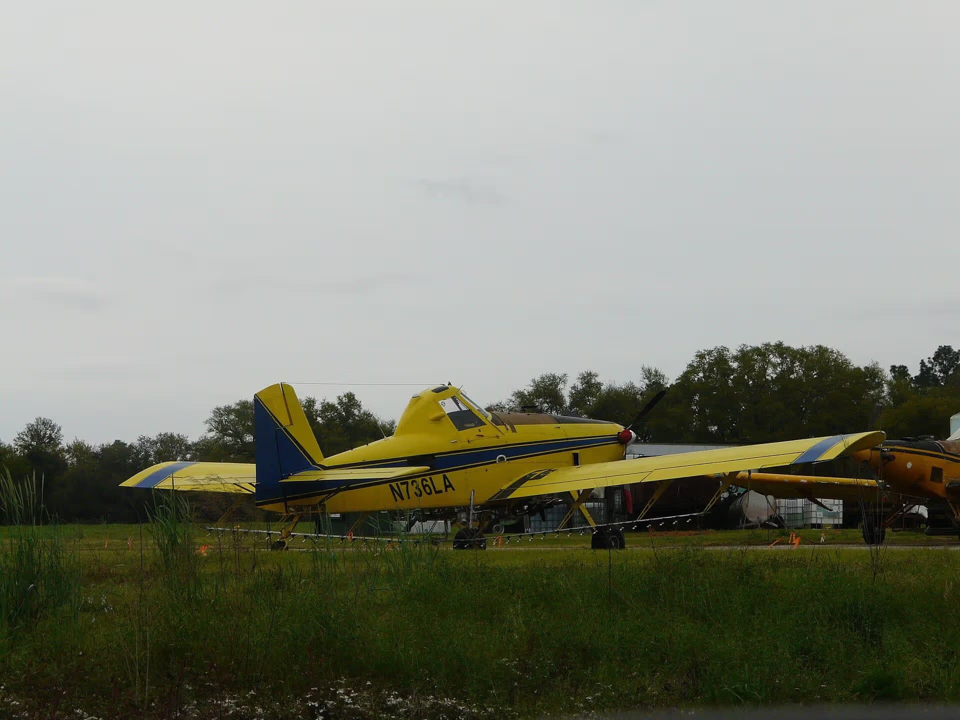 N736LA — Single-engine aircraft