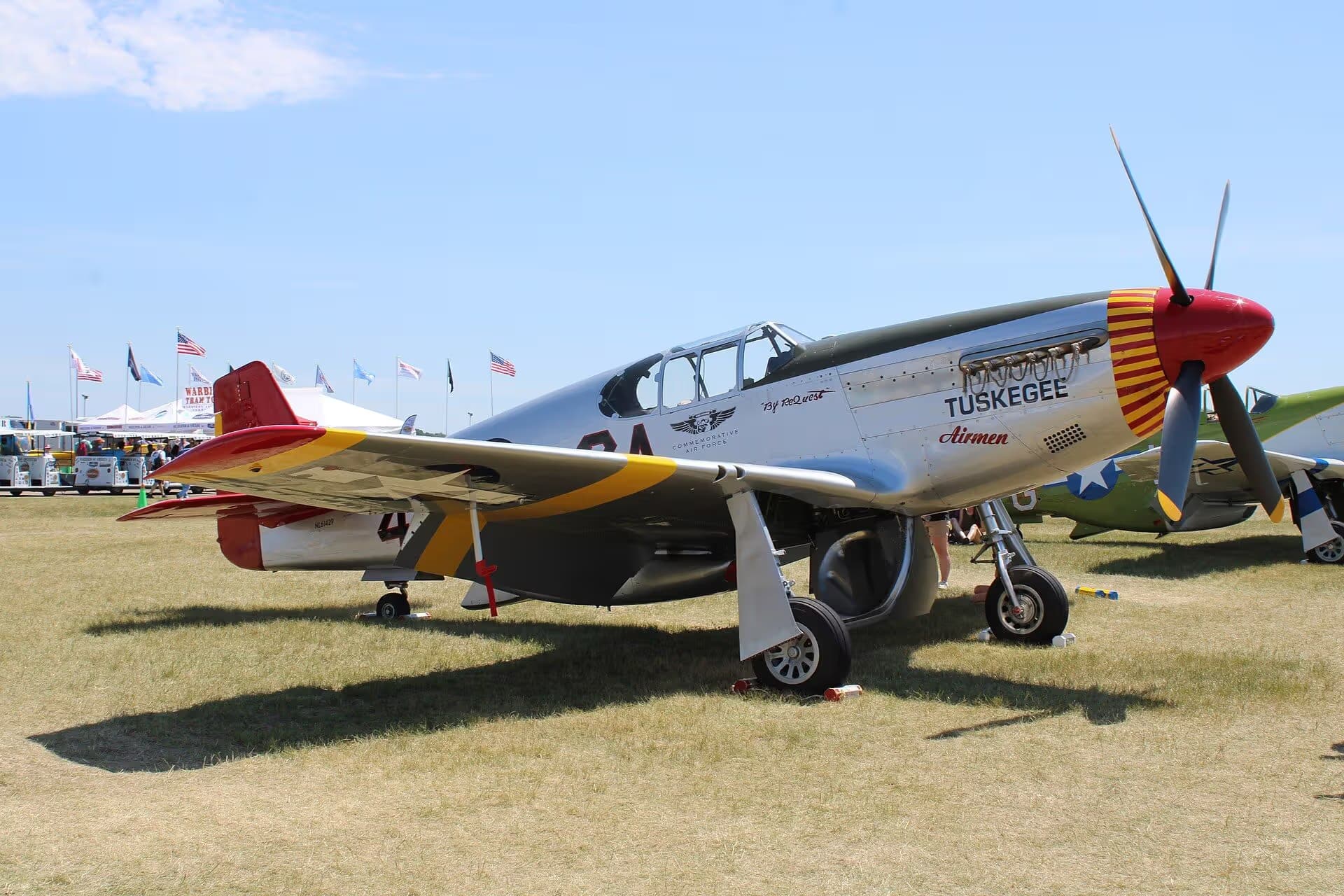 Unidentified — Warbird