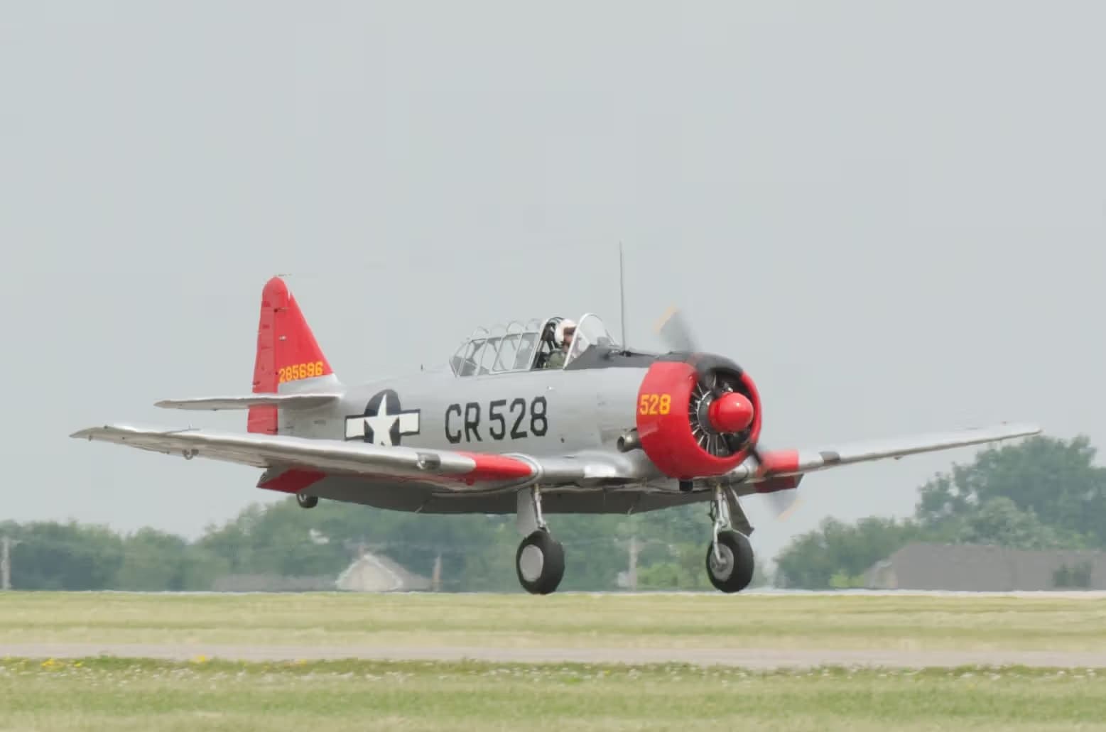 N85696 — Warbird