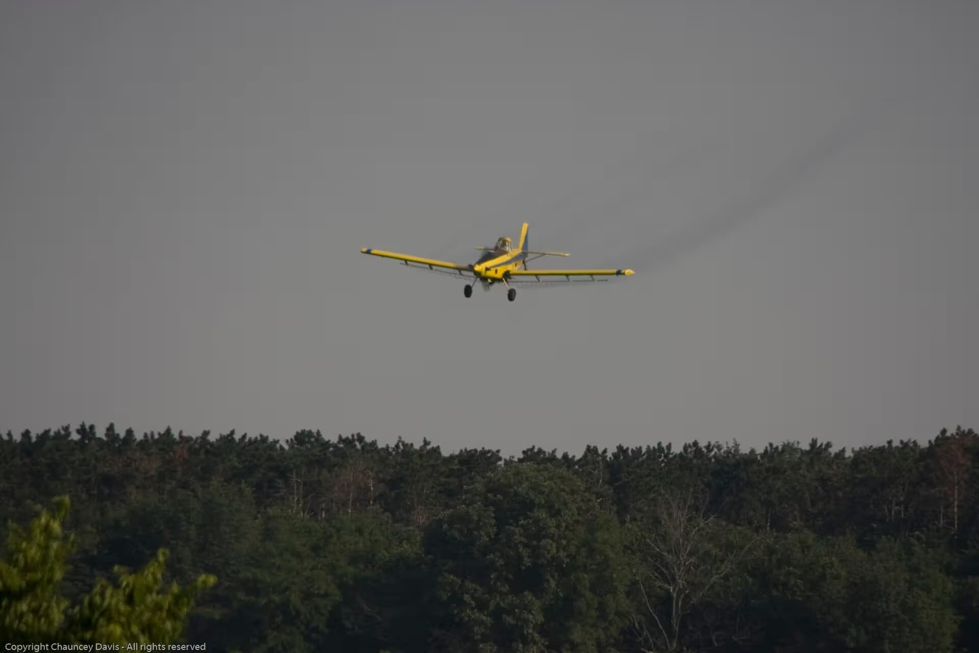 N1531G — Single-engine aircraft