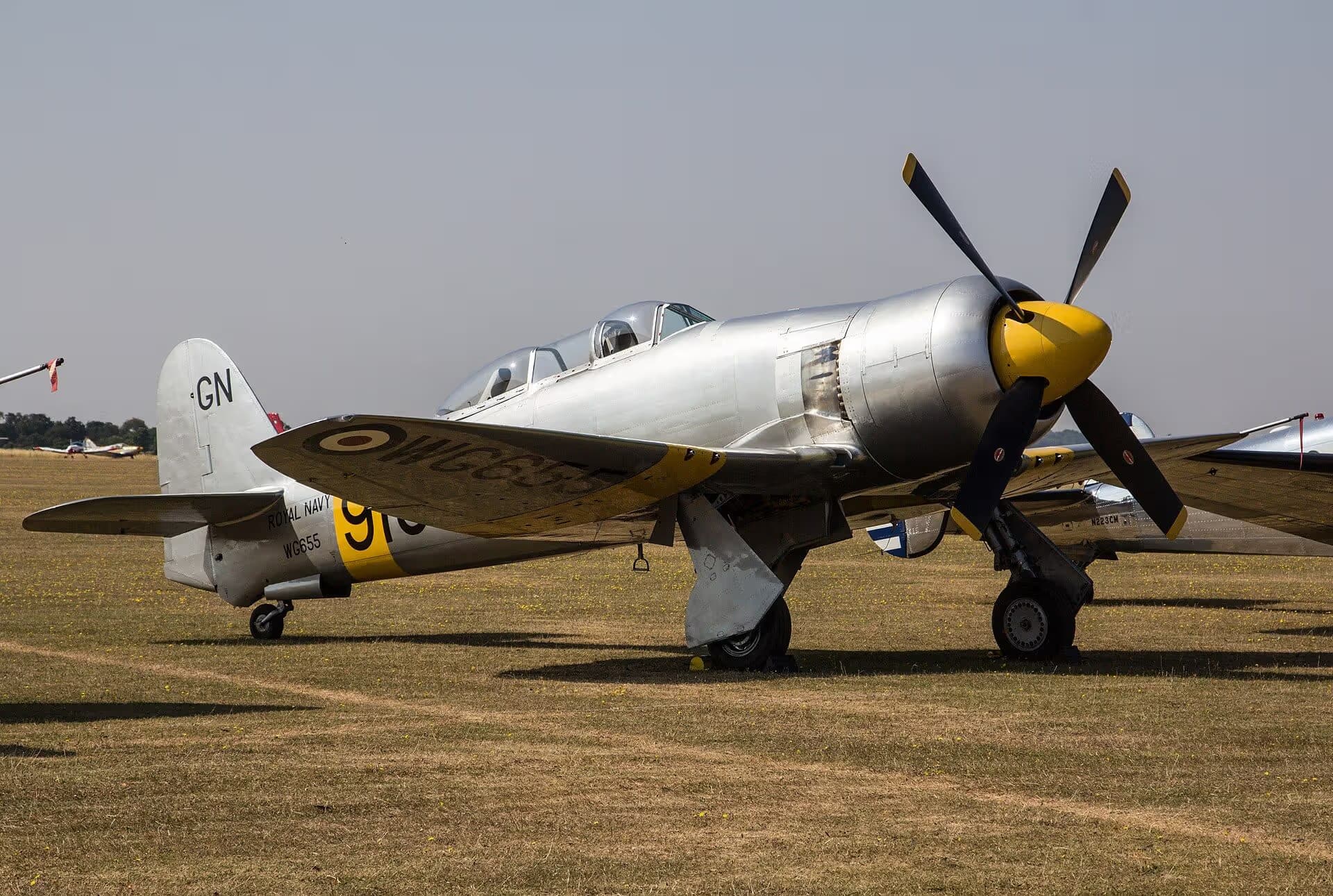 Unidentified — Warbird