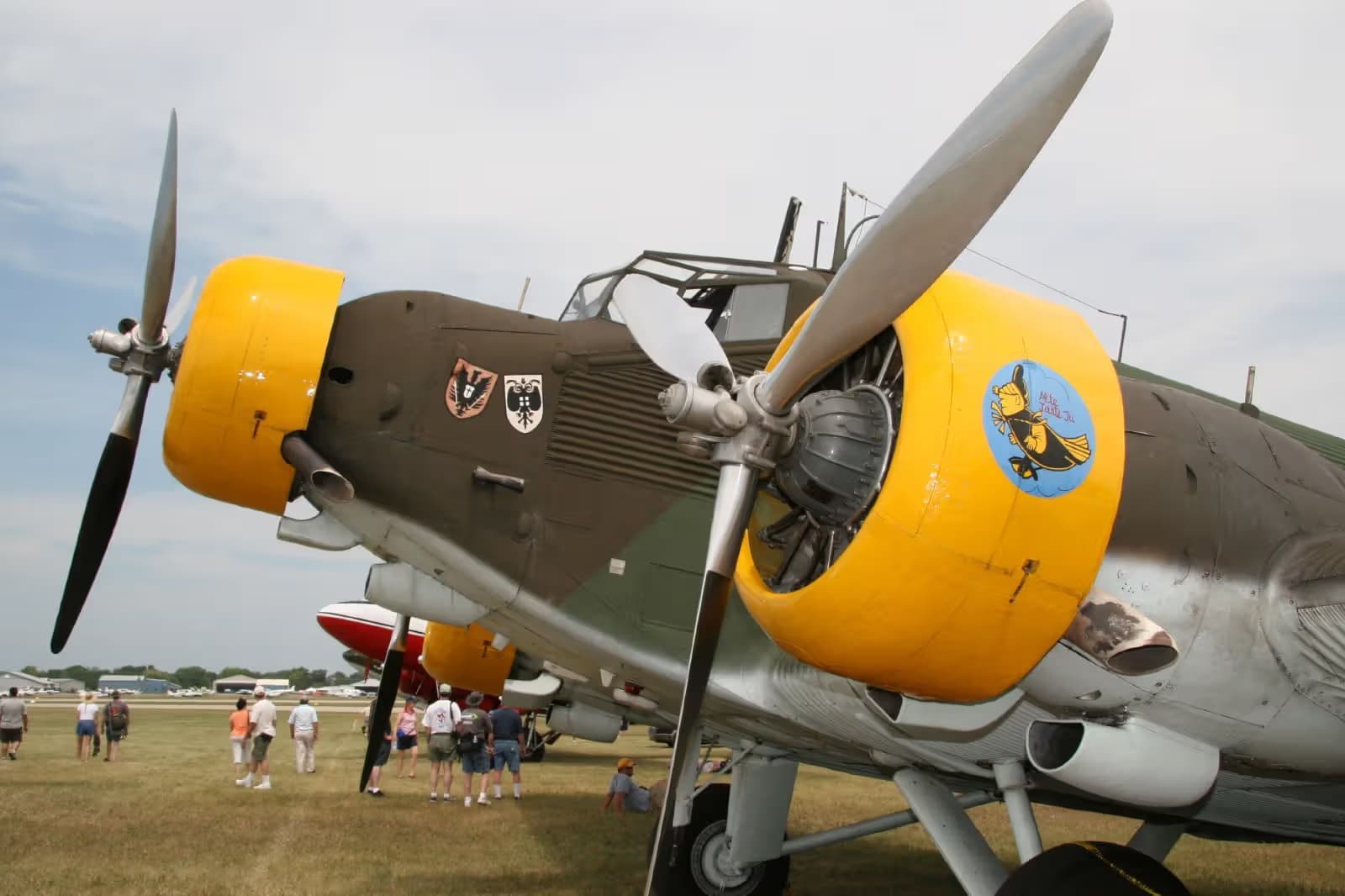 N352JU — Warbird