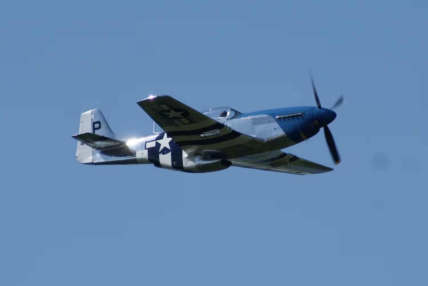 Unidentified — Warbird