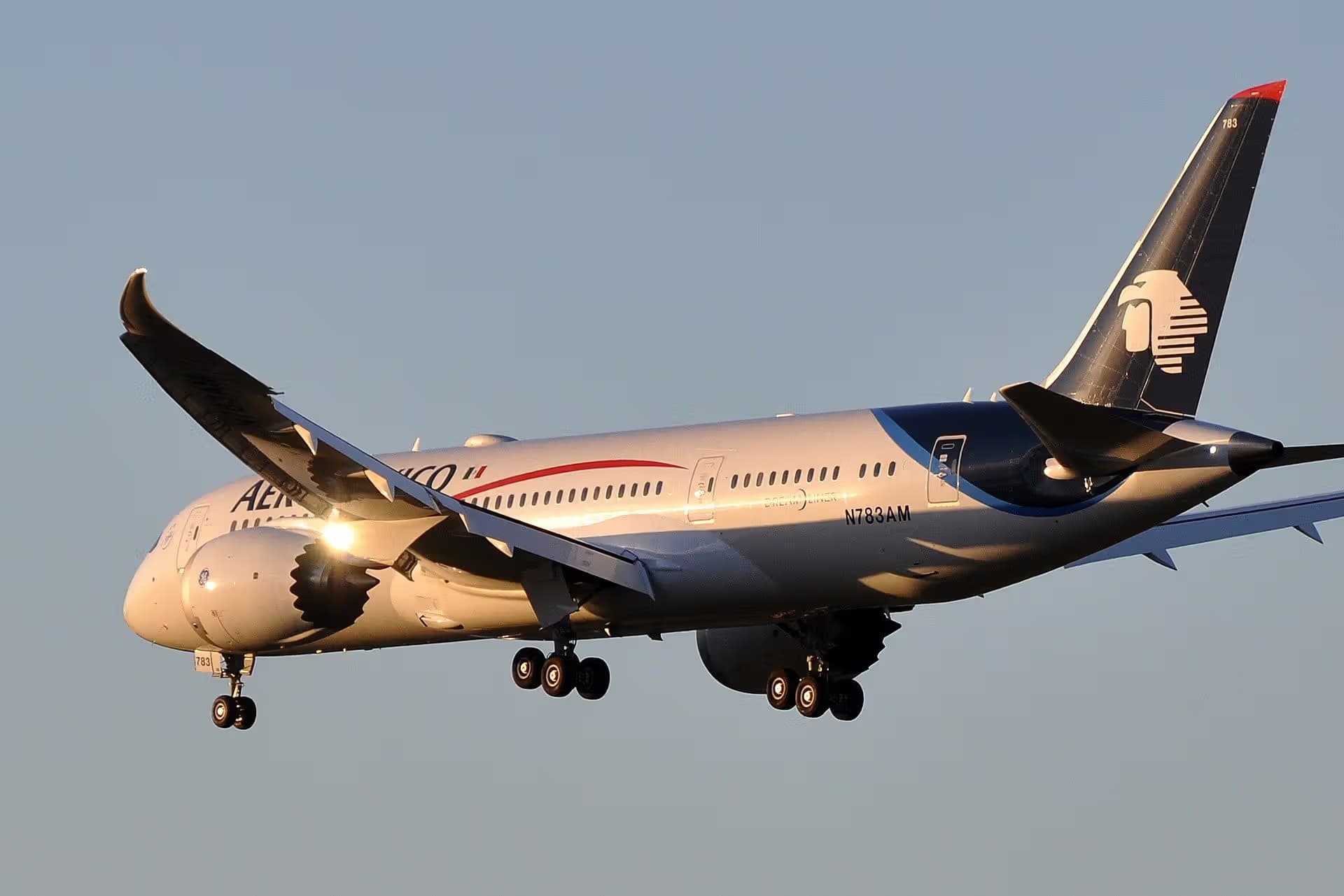 N783AM — Twin-engine aircraft