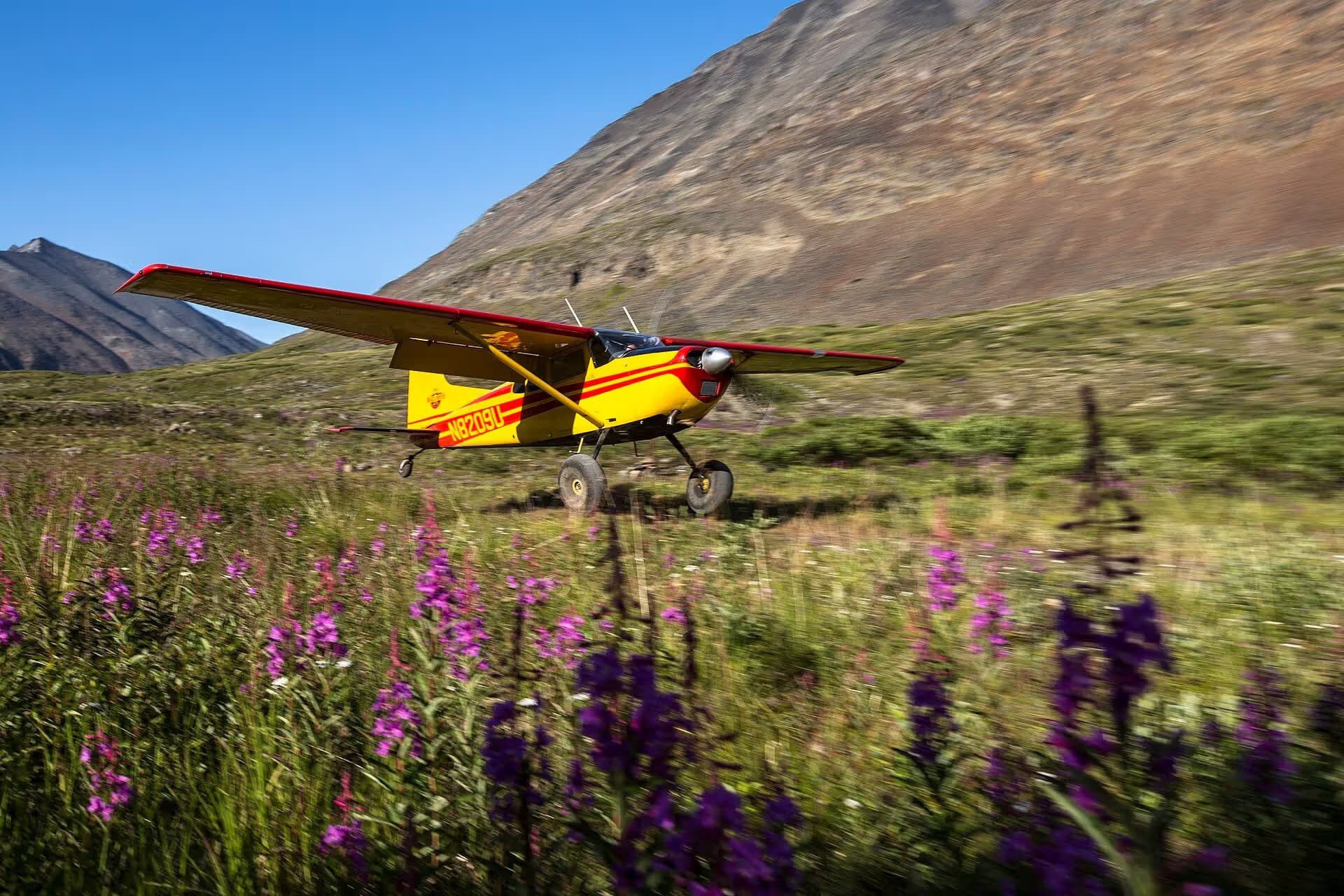 N8209U — Single-engine aircraft