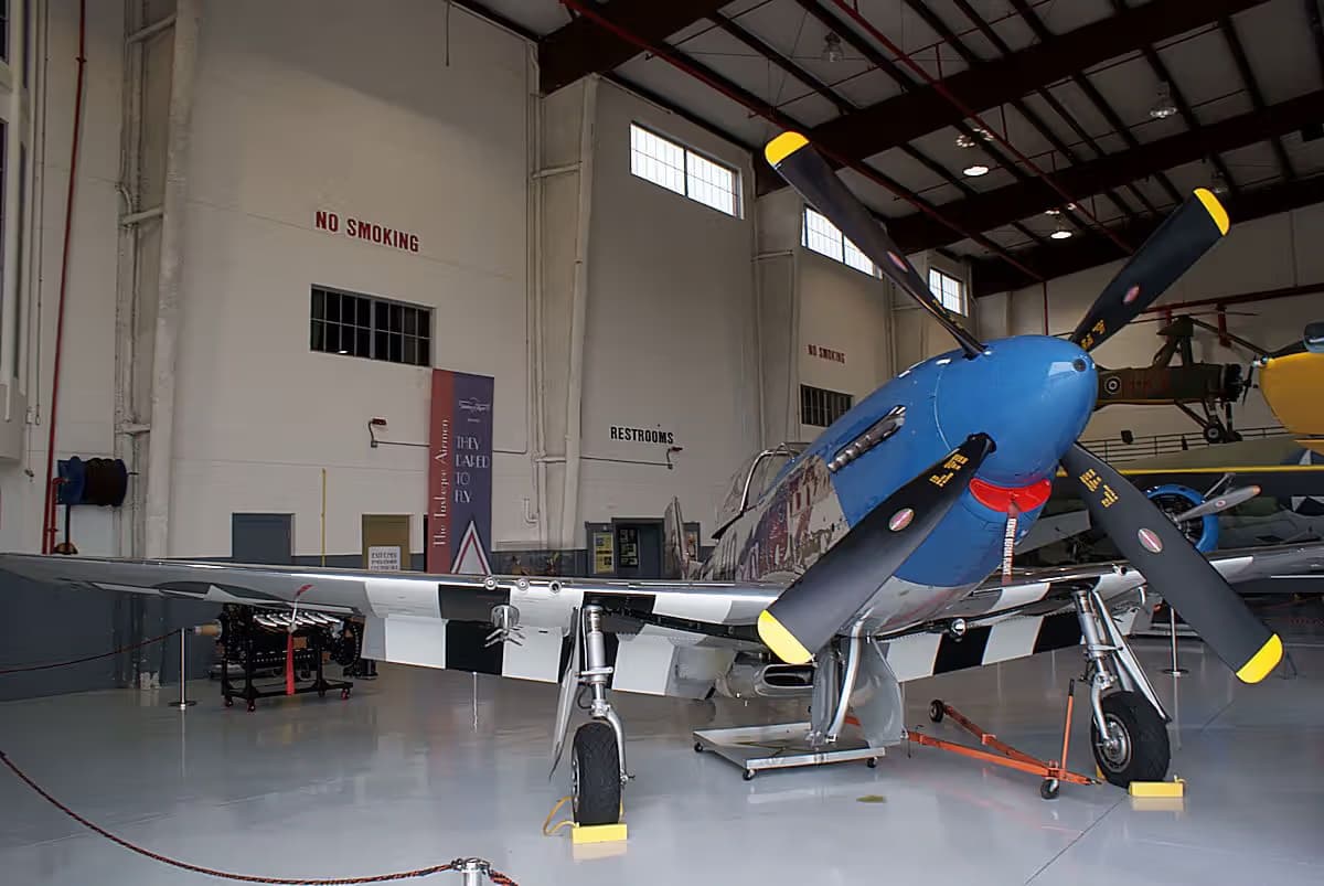 Unidentified — Warbird