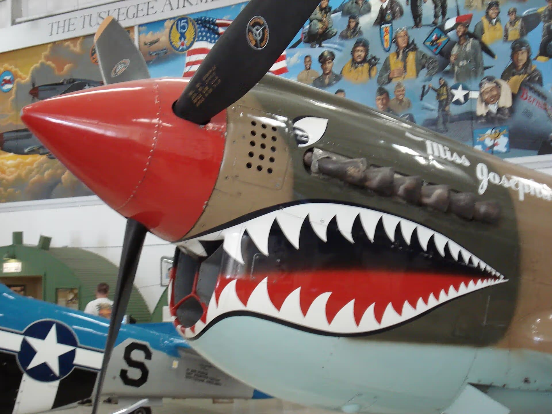 Unidentified — Warbird