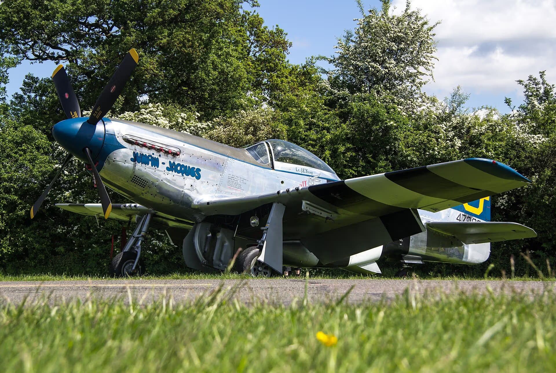 Unidentified — Warbird