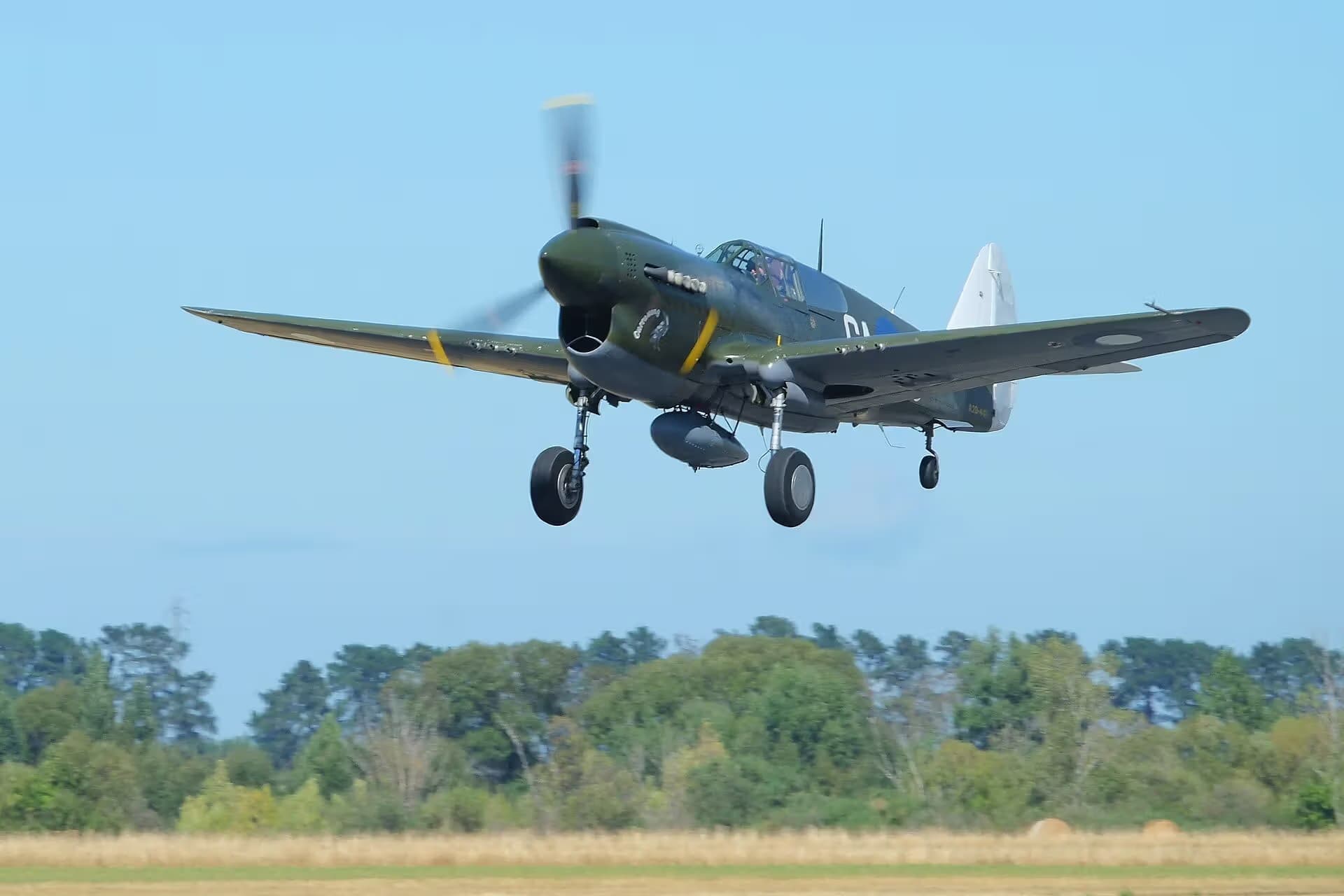 Unidentified — Warbird
