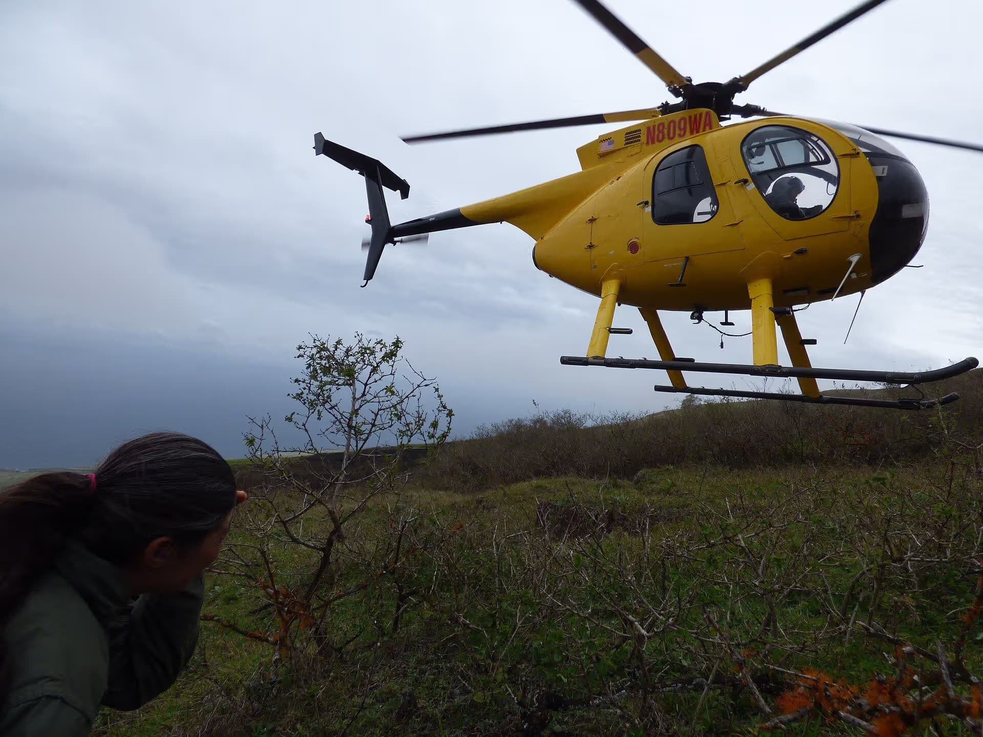 N809WA — Helicopter