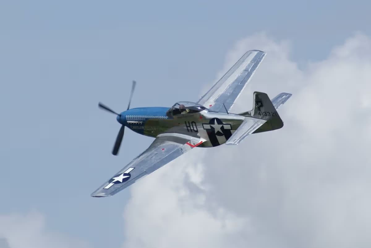 Unidentified — Warbird