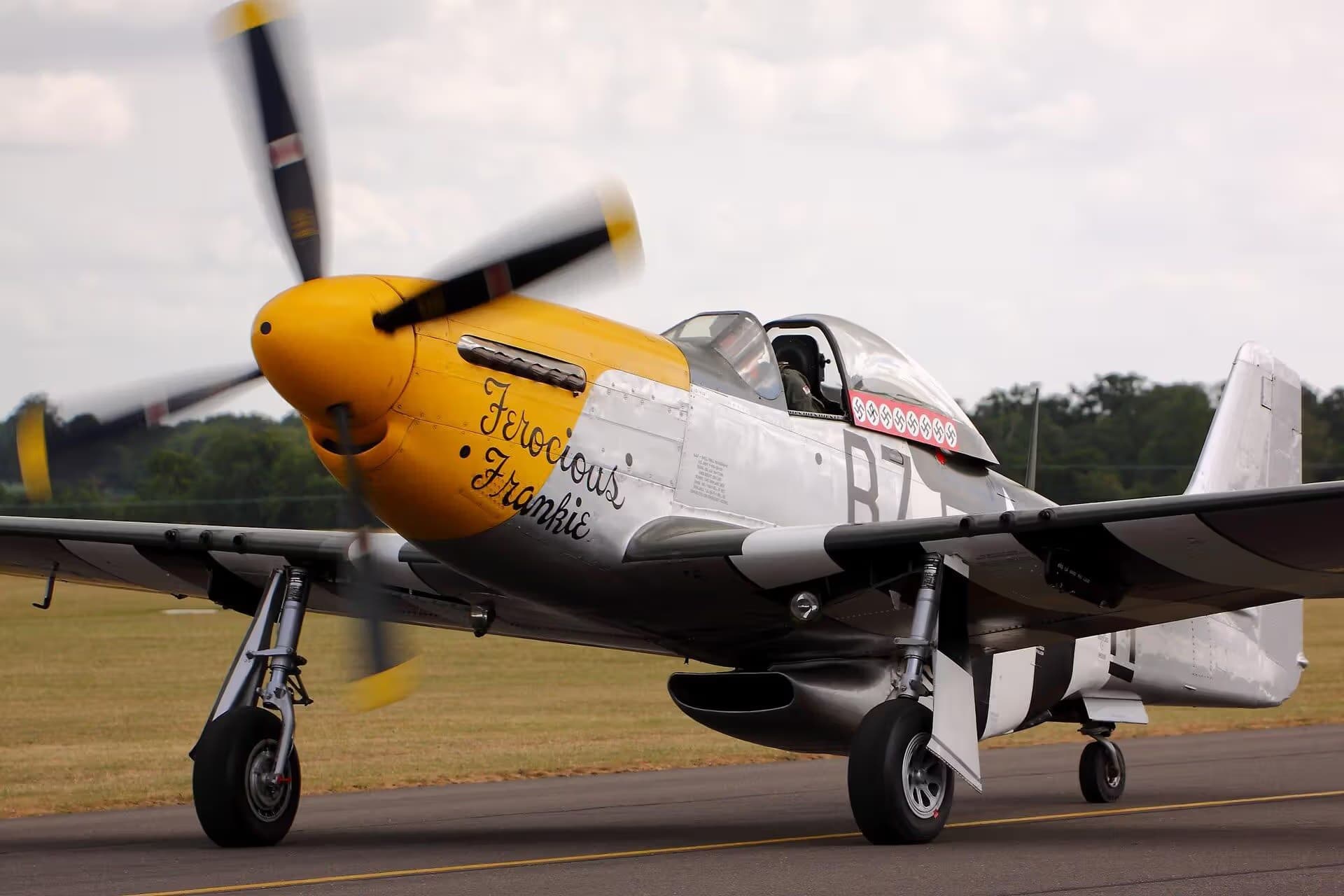 Unidentified — Warbird