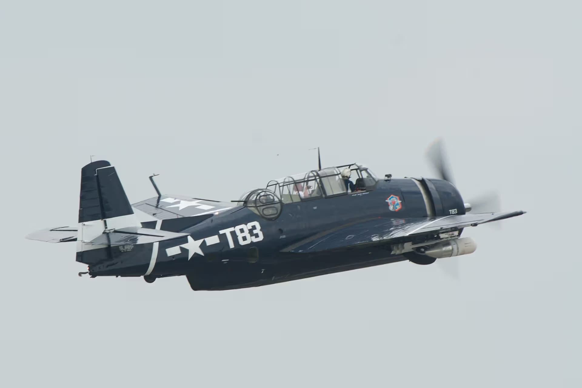 N81865 — Single-engine aircraft