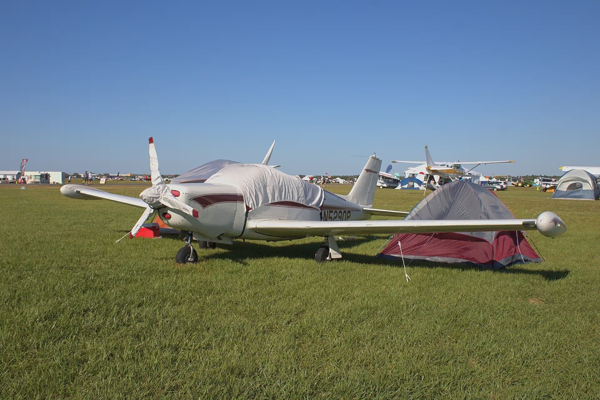 N5290P — Single-engine aircraft